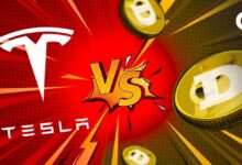 Tesla vs. DeLorean: ¿Quién Ganará la Carrera de Memecoins, SHIB o DOGE? ¡Descúbrelo! - Cripto Boom