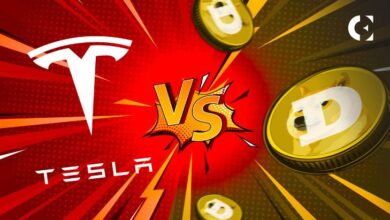 Tesla vs. DeLorean: ¿Quién Ganará la Carrera de Memecoins, SHIB o DOGE? ¡Descúbrelo! - Cripto Boom