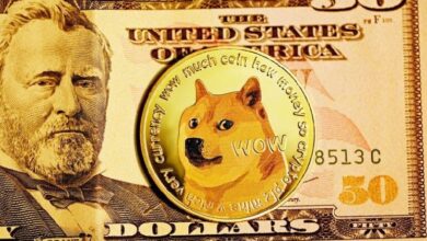 ¿Se Acerca un Rally Masivo de DOGE? Analista Predice un Asombroso Aumento del 5,220% - Cripto Boom