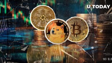 Las ballenas de BTC, DOGE y ADA podrían impulsar el repunte de precios, descubre por qué - Cripto Boom