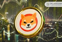 Equipo de Shiba Inu Insta a Tomar Decisiones Audaces: “Al Final, Solo Lamentamos las Oportunidades que No Aprovechamos” - Descubre Más - Cripto Boom