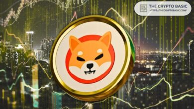 Equipo de Shiba Inu Insta a Tomar Decisiones Audaces: “Al Final, Solo Lamentamos las Oportunidades que No Aprovechamos” - Descubre Más - Cripto Boom