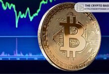 Bitcoin Alcanzó Máximos de Varios Meses: Más de 320K Direcciones Brindan Fuerte Respaldo ¡Descubre Cómo! - Cripto Boom