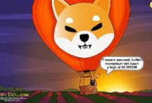 Shiba Inu Supera Los $0.00001800: Descubre Su Ascenso Imparable - Cripto Boom