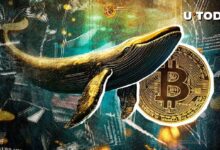 Ballena de la Era Satoshi de 2009 Vende Casi $10 Millones en Bitcoin: Descubre los Detalles - Cripto Boom