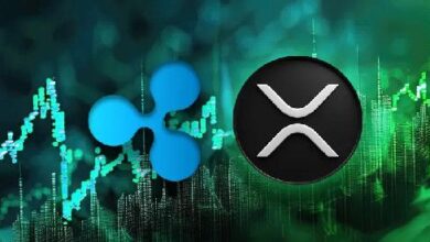 Precio de XRP: ¿Experimentará un Auge de 1000x con la Aprobación del ETF? ¡Descúbrelo! - Cripto Boom
