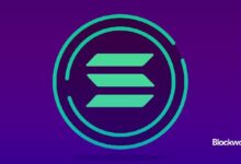 ¡Celebra el primer aniversario del rally alcista de Solana hoy! - Cripto Boom