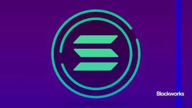 ¡Celebra el primer aniversario del rally alcista de Solana hoy! - Cripto Boom