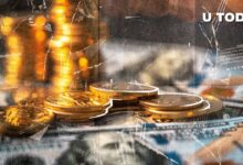 $118 Millones en 24 Horas: ¡Descubre Cómo los Osos Cripto Están Siendo Aniquilados! - Cripto Boom
