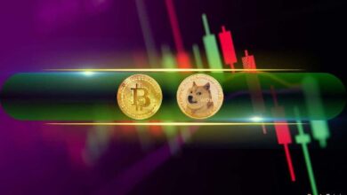Dogecoin (DOGE) Explota un 8% Diario, Bitcoin (BTC) Apunta a $68K: ¡Descubre el Mercado Ahora! - Cripto Boom