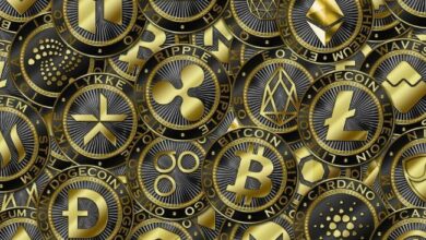Las Mejores Criptomonedas de Bajo Suministro en 2024 para Maximizar tu Potencial - Cripto Boom