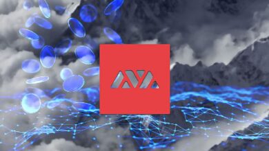 Red Avalanche: Estratégia de Expansión Vertical - Descubre las Oportunidades Ahora - Cripto Boom