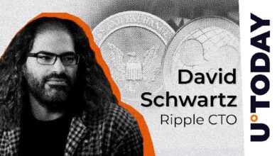 "Movimiento Insólito: CTO de Ripple Opina Sobre el Fracaso de la Apelación de la SEC ¡Descubre Más!" - Cripto Boom