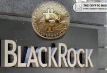 Analista: El ETF de Bitcoin de BlackRock Pronto Superará a su ETF de Oro - Descubre Cómo - Cripto Boom