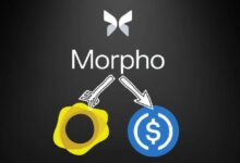 Pérdida de $230K en el mercado de oro tokenizado de Morpho tras error de configuración en Oracle: Descubre los detalles ahora - Cripto Boom