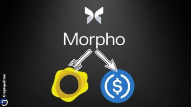 Pérdida de $230K en el mercado de oro tokenizado de Morpho tras error de configuración en Oracle: Descubre los detalles ahora - Cripto Boom