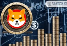 Si Shiba Inu Alcanza $0.0003 o $0.003, Descubre Cómo Aumentará una Inversión de $1,000 - Cripto Boom