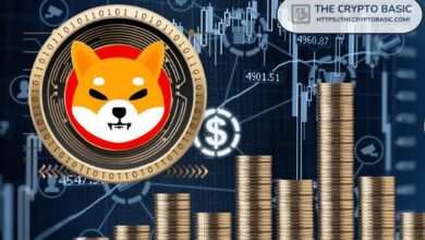 Si Shiba Inu Alcanza $0.0003 o $0.003, Descubre Cómo Aumentará una Inversión de $1,000 - Cripto Boom