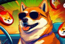 ¡Incremento Explosivo del 14,575% en la Tasa de Quema de Shiba Inu: Descubre Cómo la Escasez Impulsa el Precio de SHIB! - Cripto Boom