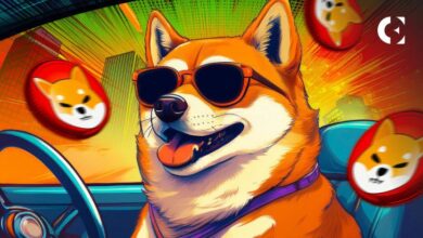 ¡Incremento Explosivo del 14,575% en la Tasa de Quema de Shiba Inu: Descubre Cómo la Escasez Impulsa el Precio de SHIB! - Cripto Boom