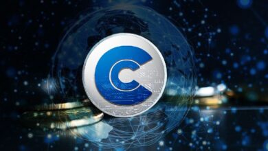 API3 Coin: Accede Directamente a los Datos - Descúbrelo Ahora - Cripto Boom