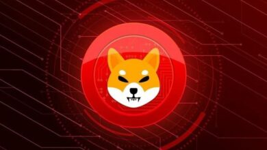 Precio de Shiba Inu Muestra Bandera Histórica Alcista: Descubre Qué Pasó la Última Vez - Cripto Boom