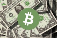 ¡Inversores Inyectan $407M en Fondos Cripto, Bitcoin Lidera el Camino! - Cripto Boom