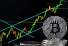 El Dominio de Bitcoin Eclipsa Tendencias Cripto Importantes: Descubre Más Aquí - Cripto Boom