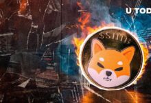 ¡Impactante Aumento del 6,750% en Quema de SHIB! Descubre Qué Está Sucediendo - Cripto Boom