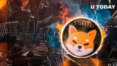 ¡Impactante Aumento del 6,750% en Quema de SHIB! Descubre Qué Está Sucediendo - Cripto Boom