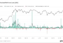 La Toma de Ganancias Podría Frenar el Avance de Bitcoin a Máximos Históricos - Descubre Más - Cripto Boom