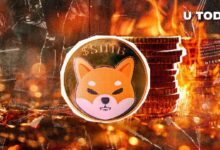 ¡Quema de SHIB: 324 Millones de Tokens Eliminados en una Semana con un Asombroso Aumento del 1,020%! - Cripto Boom