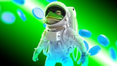 Predicción de Precio de PEPE: Descubre Por Qué Este Meme Coin Podría Aumentar un 50% - Cripto Boom