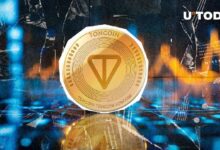 ¡Toncoin (TON) Listo para el Próximo Gran Salto! Descubre la Razón Aquí - Cripto Boom