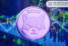 Analista Prevé un Aumento del 5,382% para Shiba Inu: Descubre Tres Objetivos de Precio, Incluyendo $0.001 - Cripto Boom