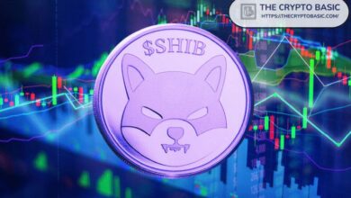 Analista Prevé un Aumento del 5,382% para Shiba Inu: Descubre Tres Objetivos de Precio, Incluyendo $0.001 - Cripto Boom
