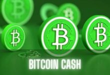 Bitcoin Cash (BCH) Se Dispara un 20%: ¿Mantendrá Su Impulso? ¡Descúbrelo! - Cripto Boom