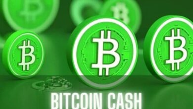 Bitcoin Cash (BCH) Se Dispara un 20%: ¿Mantendrá Su Impulso? ¡Descúbrelo! - Cripto Boom