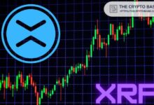 Experto Afirma que XRP Nunca Volverá a Estar Tan Bajo: ¡Descubre Por Qué! - Cripto Boom