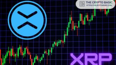 Experto Afirma que XRP Nunca Volverá a Estar Tan Bajo: ¡Descubre Por Qué! - Cripto Boom