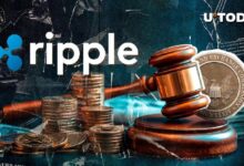 Experto de la SEC Analiza la Especulación sobre el Plazo de Apelación de la Demanda contra Ripple: ¡Descubre los Detalles! - Cripto Boom