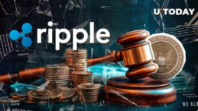 Experto de la SEC Analiza la Especulación sobre el Plazo de Apelación de la Demanda contra Ripple: ¡Descubre los Detalles! - Cripto Boom