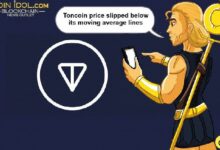 ¡Descubre la Volátil Actividad del Precio de Toncoin! - Cripto Boom