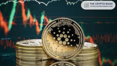 Cartera Cardano Yoroi Ofrece Ingresos Pasivos a Titulares de ADA con Esta Nueva Alianza ¡Descúbrelo! - Cripto Boom
