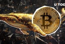 Ballena de la Era Satoshi Despierta con Asombroso Beneficio del 411,696% - Descubre los Detalles - Cripto Boom