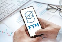 ¿Qué sigue para el precio de Fantom (FTM) tras un salto del 1,000% en transacciones de ballenas? ¡Descúbrelo aquí! - Cripto Boom