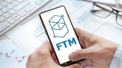 ¿Qué sigue para el precio de Fantom (FTM) tras un salto del 1,000% en transacciones de ballenas? ¡Descúbrelo aquí! - Cripto Boom