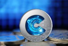 Wombat Exchange Advierte a los Usuarios sobre Robo de Diseño: Infórmate Ahora - Cripto Boom