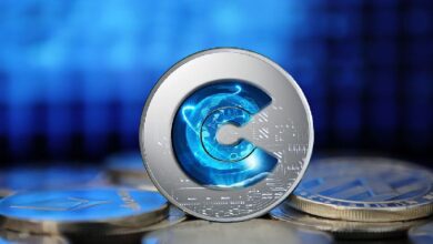 Wombat Exchange Advierte a los Usuarios sobre Robo de Diseño: Infórmate Ahora - Cripto Boom
