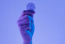 En 2024, la Red Litecoin Procesó 77 Millones de Transacciones: ¡Descubre Este Gran Hito en Su Evolución! - Cripto Boom